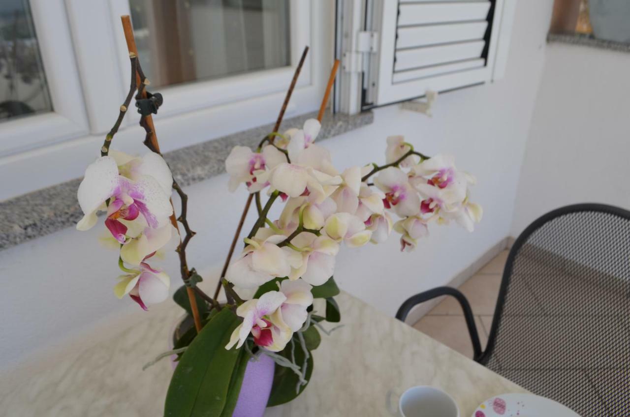 Apartman Darica Vid Primošten Exterior foto